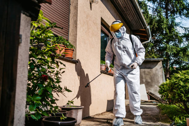 Spider Control Near Me in Keizer, OR