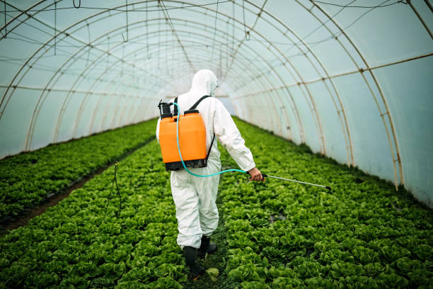 Best Best Pest Control Companies  in Keizer, OR