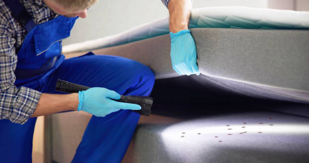 Best Local Pest Control Services  in Keizer, OR