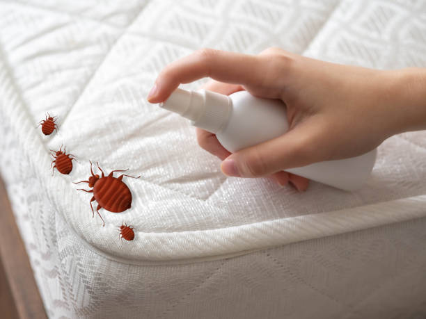 Best Best Pest Control Companies  in Keizer, OR