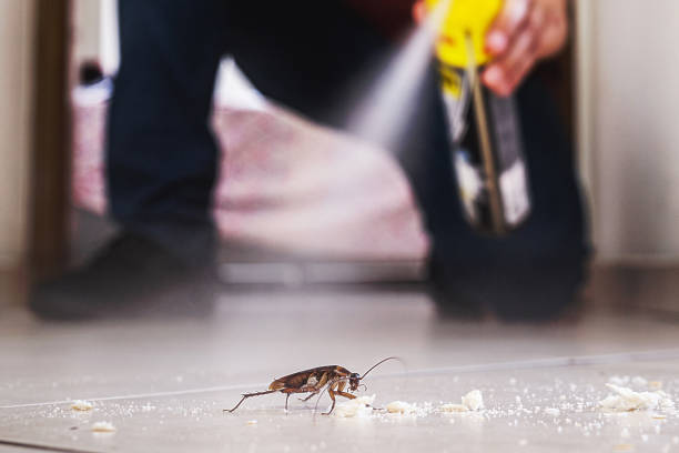 Best Commercial Pest Control Services  in Keizer, OR