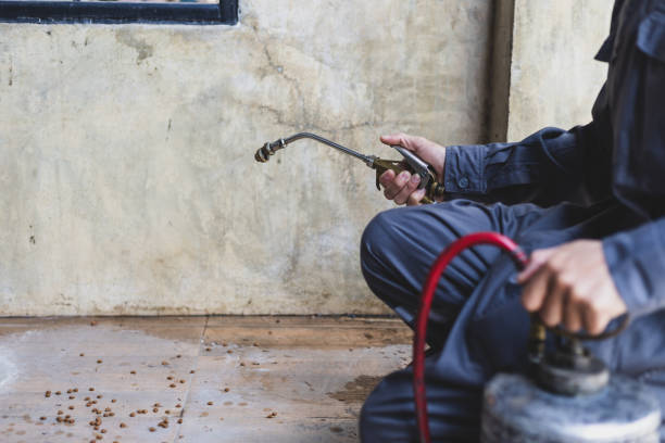 Best Exterminator Services  in Keizer, OR